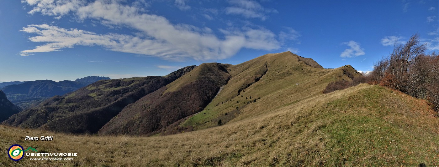 40 In decisa salita sul sentierino di cresta dal Passo al Pizzo Baciamorti.jpg